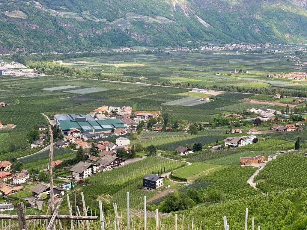 Weingut Bachguetl Daire Tscherms Dış mekan fotoğraf