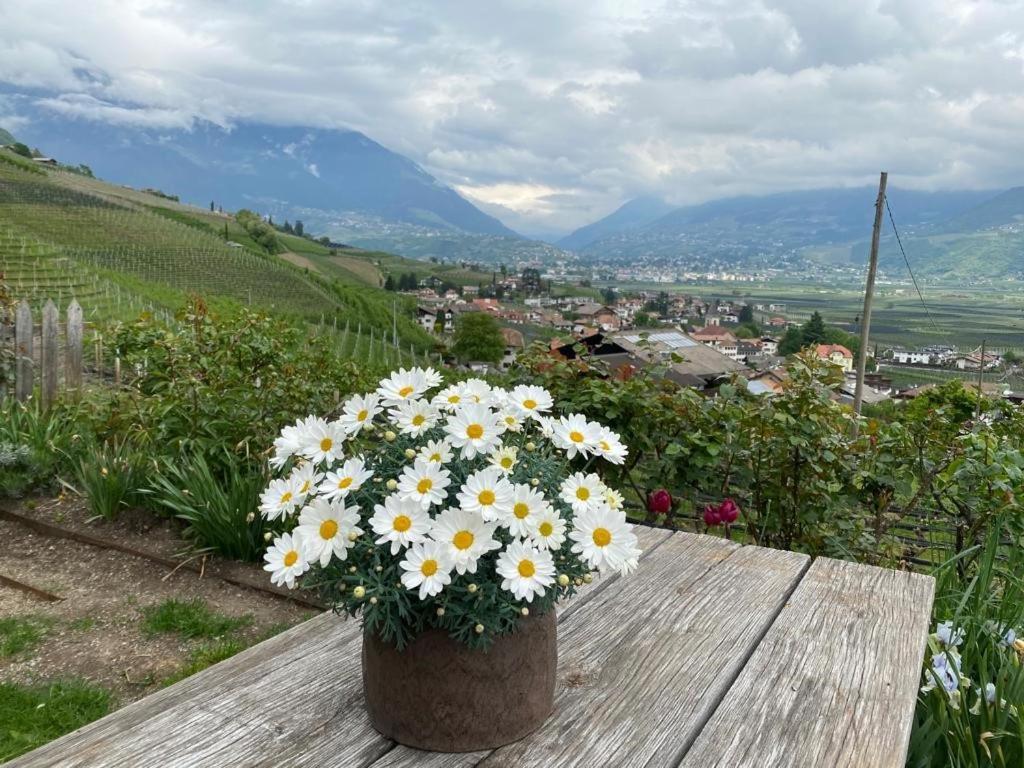 Weingut Bachguetl Daire Tscherms Dış mekan fotoğraf